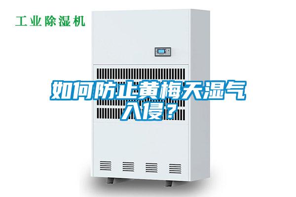 如何防止黃梅天濕氣入侵？