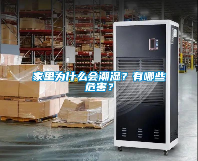 家里為什么會潮濕？有哪些危害？