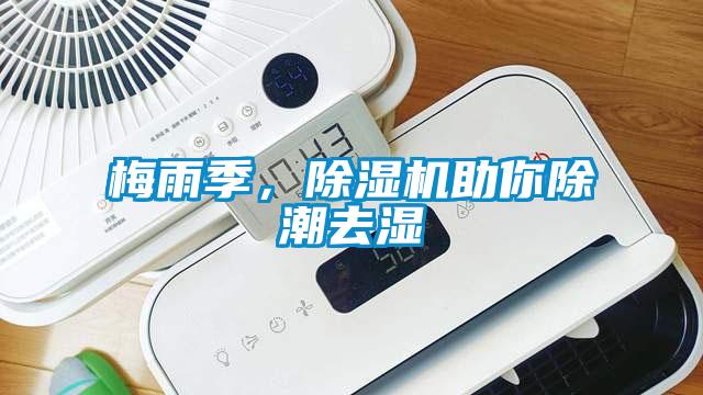 梅雨季，除濕機助你除潮去濕