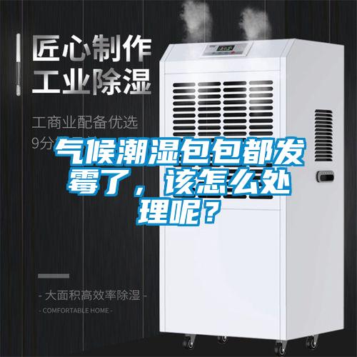 氣候潮濕包包都發霉了，該怎么處理呢？