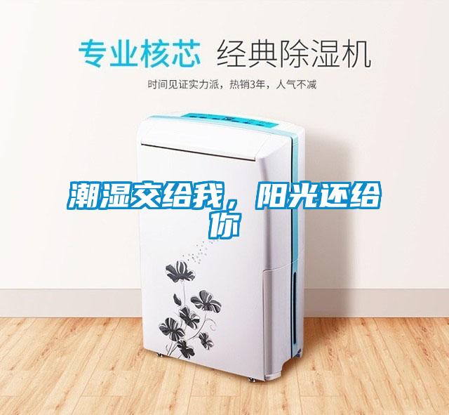 潮濕交給我，陽光還給你