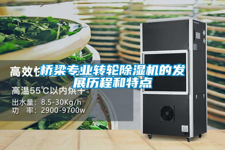 橋梁專業(yè)轉(zhuǎn)輪除濕機(jī)的發(fā)展歷程和特點