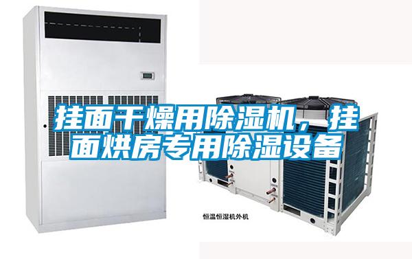 掛面干燥用除濕機，掛面烘房專用除濕設(shè)備