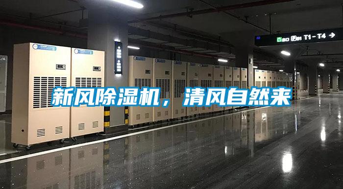 新風除濕機，清風自然來