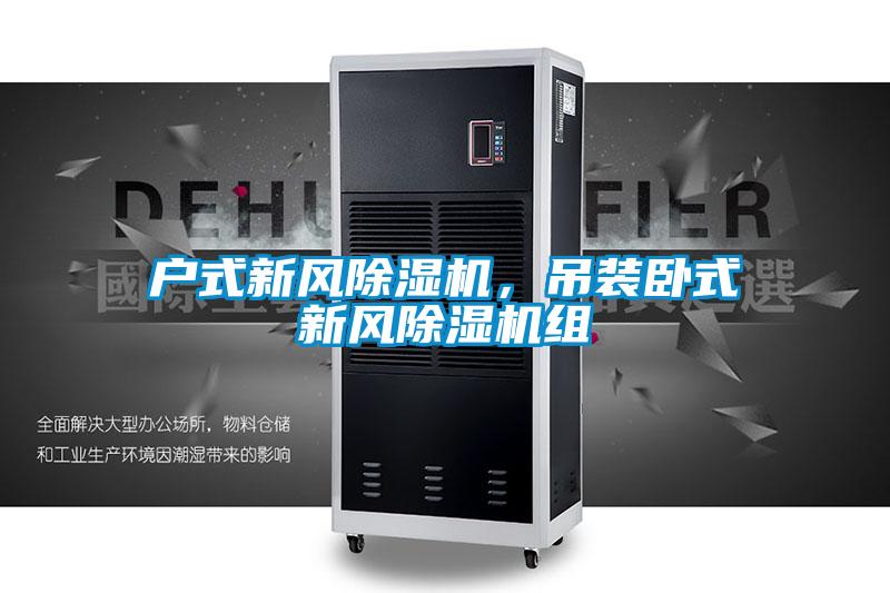 戶式新風(fēng)除濕機(jī)，吊裝臥式新風(fēng)除濕機(jī)組
