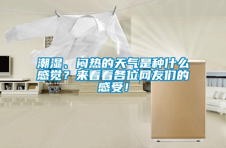 潮濕、悶熱的天氣是種什么感覺？來看看各位網(wǎng)友們的感受！