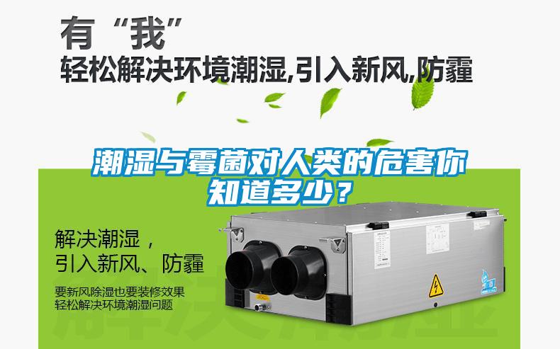 潮濕與霉菌對人類的危害你知道多少？
