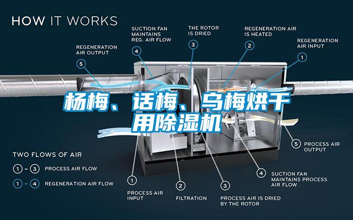 楊梅、話梅、烏梅烘干用除濕機