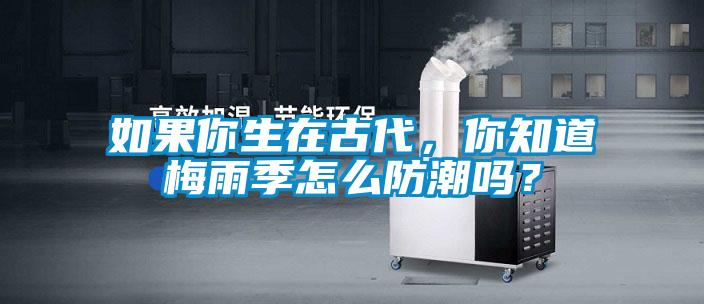 如果你生在古代，你知道梅雨季怎么防潮嗎？