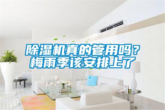 除濕機(jī)真的管用嗎？梅雨季該安排上了