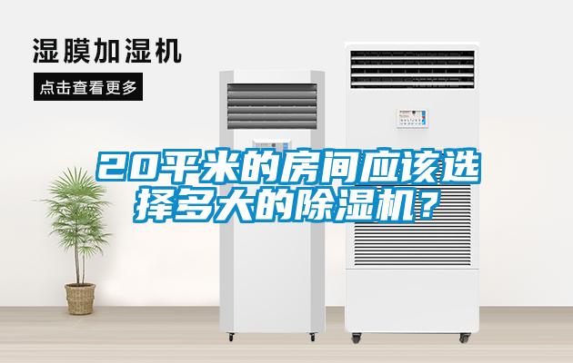 20平米的房間應該選擇多大的除濕機？
