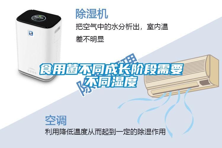食用菌不同成長(zhǎng)階段需要不同濕度