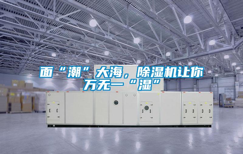 面“潮”大海，除濕機讓你萬無一“濕”