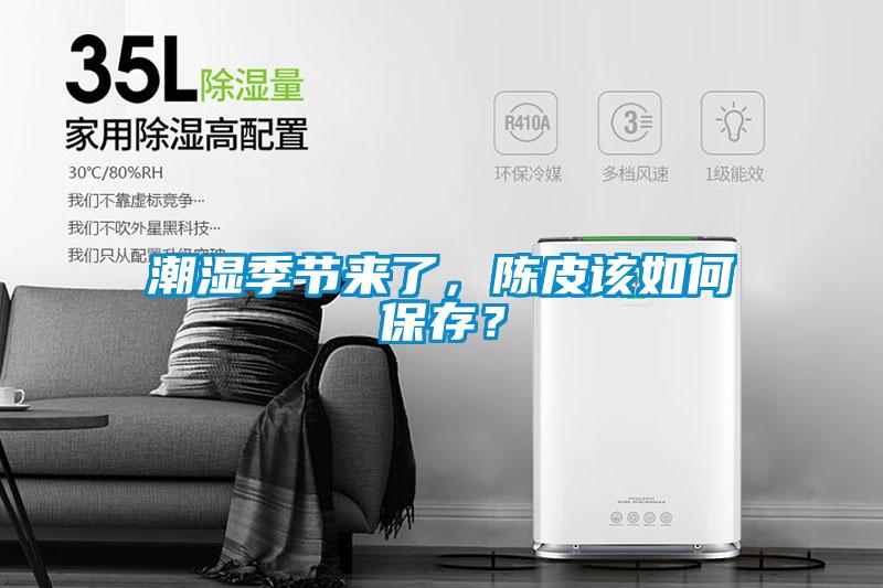 潮濕季節來了，陳皮該如何保存？