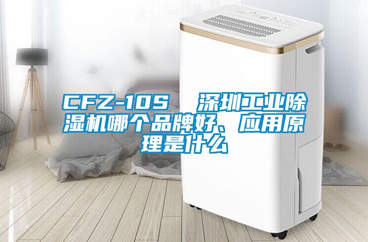 CFZ-10S  深圳工業(yè)除濕機哪個品牌好、應(yīng)用原理是什么
