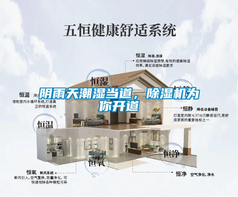 陰雨天潮濕當道，除濕機為你開道
