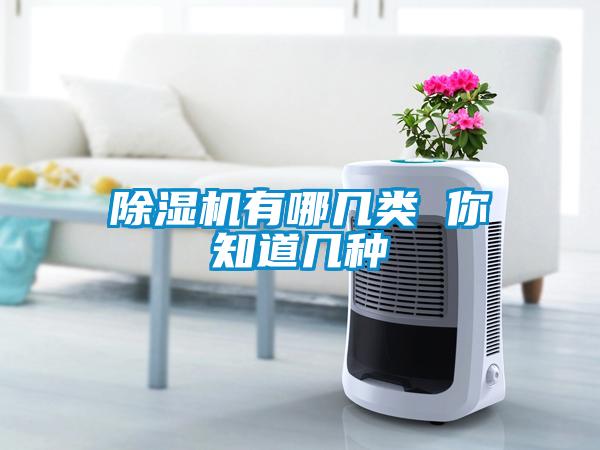 除濕機(jī)有哪幾類(lèi) 你知道幾種