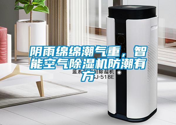 陰雨綿綿潮氣重，智能空氣除濕機防潮有方