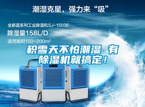 積雪天不怕潮濕 有除濕機就搞定！