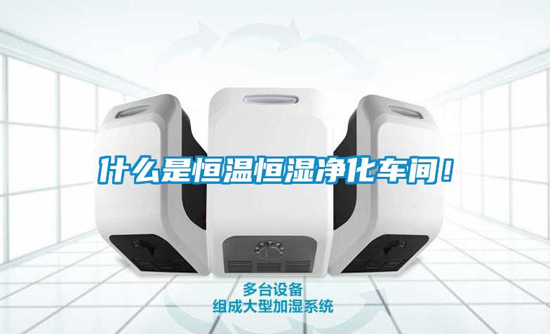 什么是恒溫恒濕凈化車間！