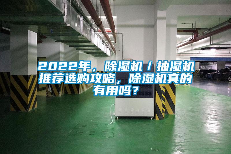 2022年，除濕機／抽濕機推薦選購攻略，除濕機真的有用嗎？