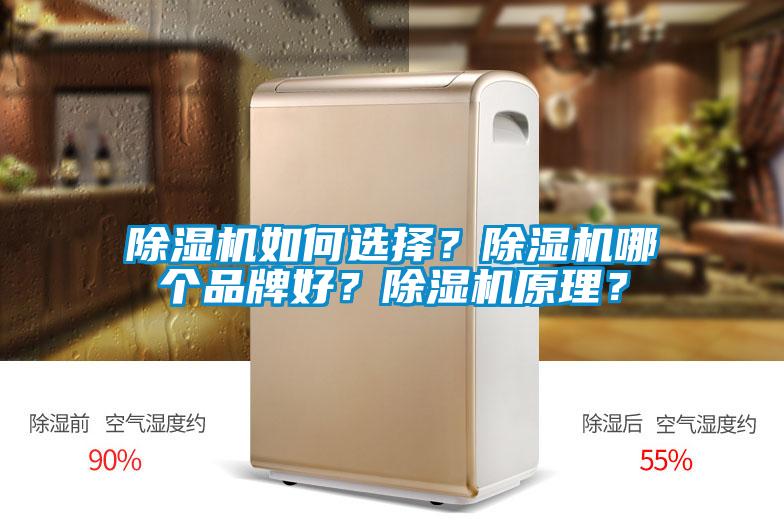 除濕機如何選擇？除濕機哪個品牌好？除濕機原理？