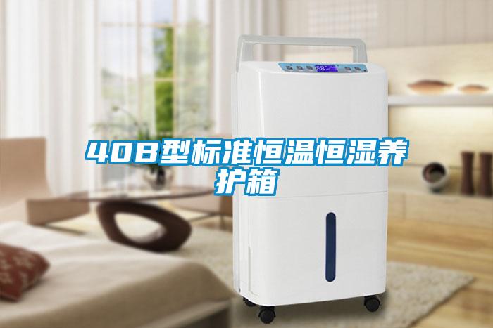 40B型標準恒溫恒濕養(yǎng)護箱