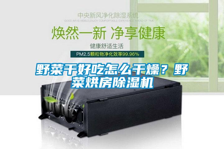 野菜干好吃怎么干燥？野菜烘房除濕機(jī)