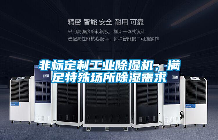 非標定制工業除濕機，滿足特殊場所除濕需求