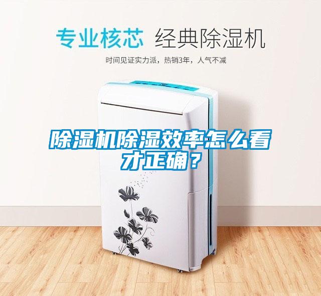 除濕機(jī)除濕效率怎么看才正確？