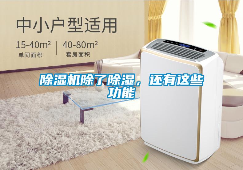 除濕機除了除濕，還有這些功能