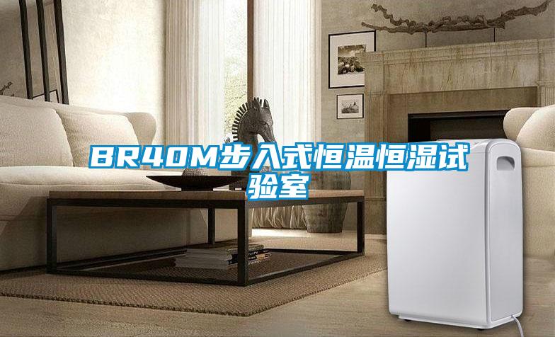 BR40M步入式恒溫恒濕試驗(yàn)室