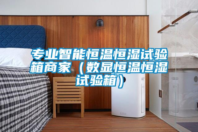 專(zhuān)業(yè)智能恒溫恒濕試驗(yàn)箱商家（數(shù)顯恒溫恒濕試驗(yàn)箱）