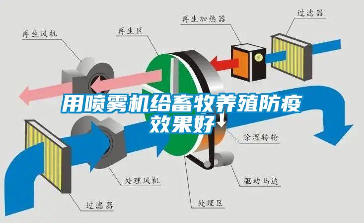 用噴霧機給畜牧養殖防疫效果好