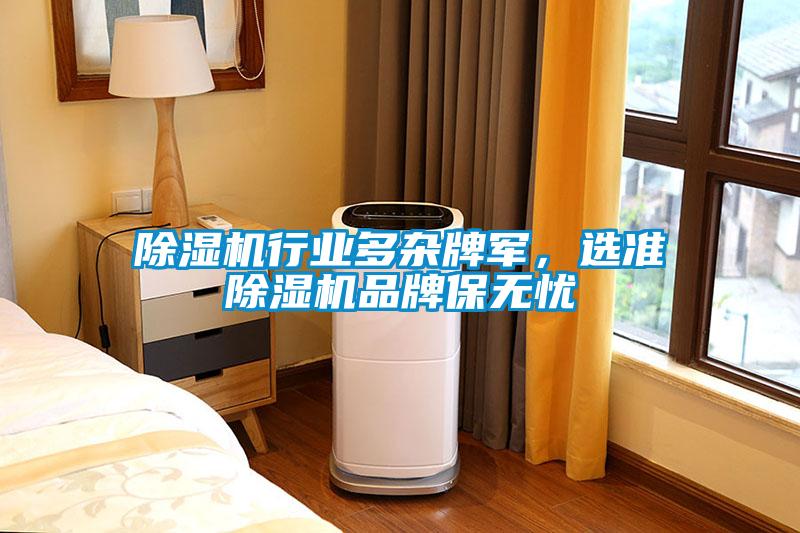 除濕機行業(yè)多雜牌軍，選準(zhǔn)除濕機品牌保無憂