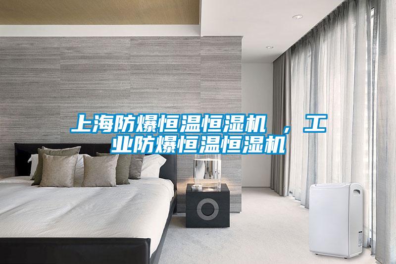上海防爆恒溫恒濕機 ，工業防爆恒溫恒濕機