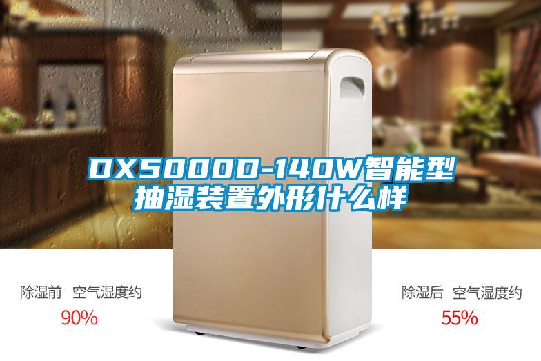 DX5000D-140W智能型抽濕裝置外形什么樣