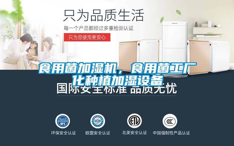 食用菌加濕機(jī)，食用菌工廠化種植加濕設(shè)備