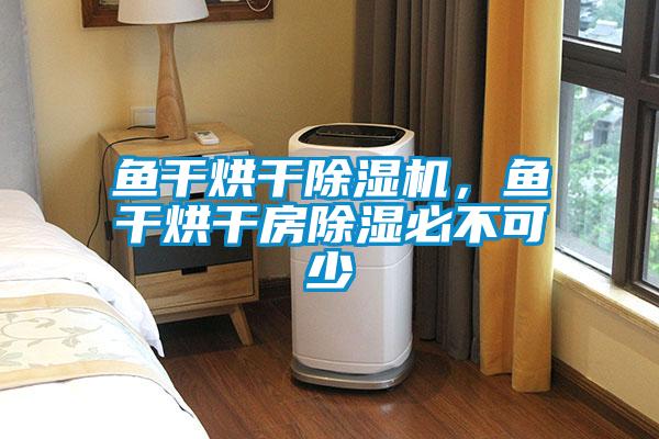 魚干烘干除濕機，魚干烘干房除濕必不可少