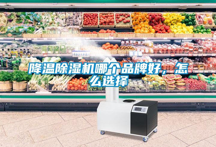 降溫除濕機(jī)哪個品牌好，怎么選擇