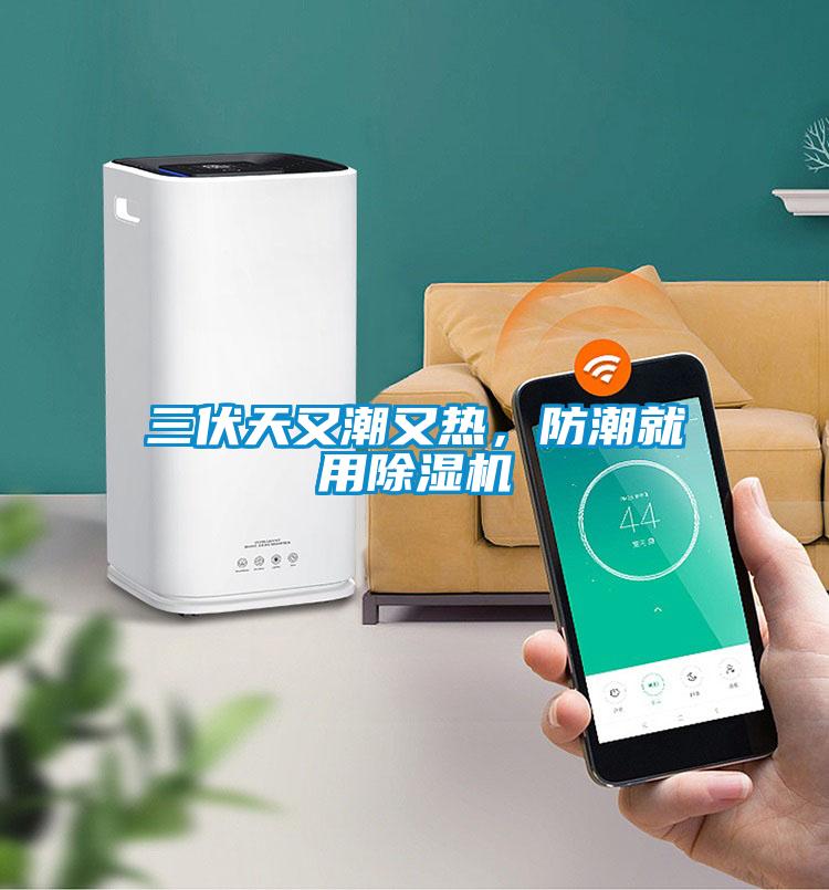 三伏天又潮又熱，防潮就用除濕機(jī)