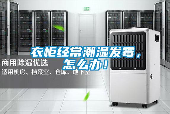 衣柜經常潮濕發霉,怎么辦!