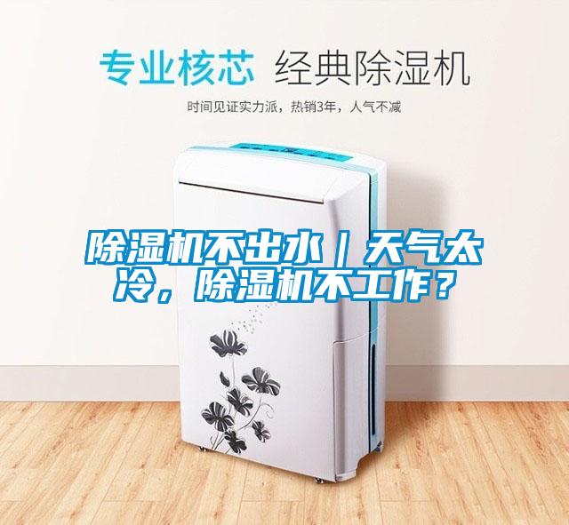 除濕機不出水｜天氣太冷，除濕機不工作？