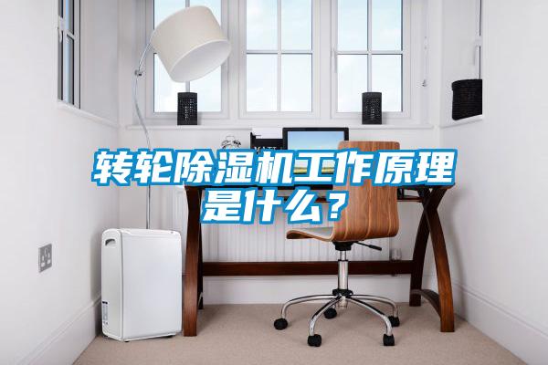 轉(zhuǎn)輪除濕機工作原理是什么？