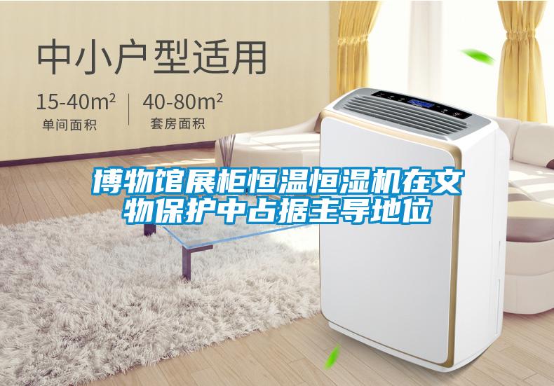 博物館展柜恒溫恒濕機在文物保護中占據(jù)主導(dǎo)地位