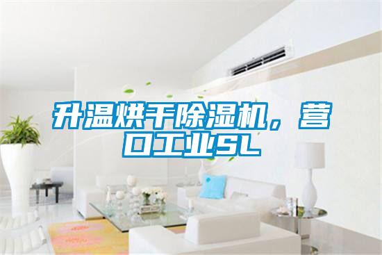 升溫烘干除濕機,營口工業SL