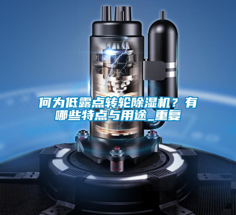 何為低露點轉輪除濕機?有哪些特點與用途_重復