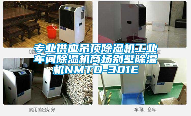 專業(yè)供應吊頂除濕機工業(yè)車間除濕機商場別墅除濕機NMTD-301E