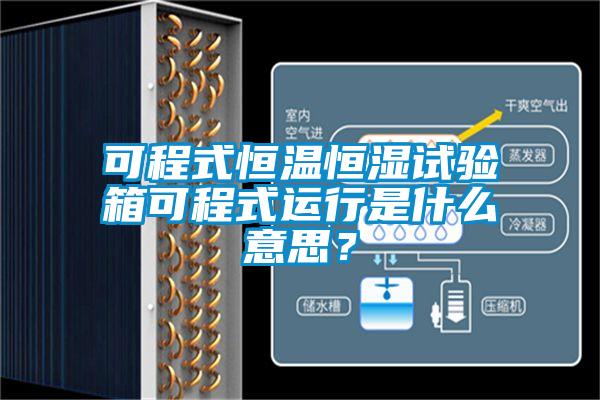 可程式恒溫恒濕試驗(yàn)箱可程式運(yùn)行是什么意思？