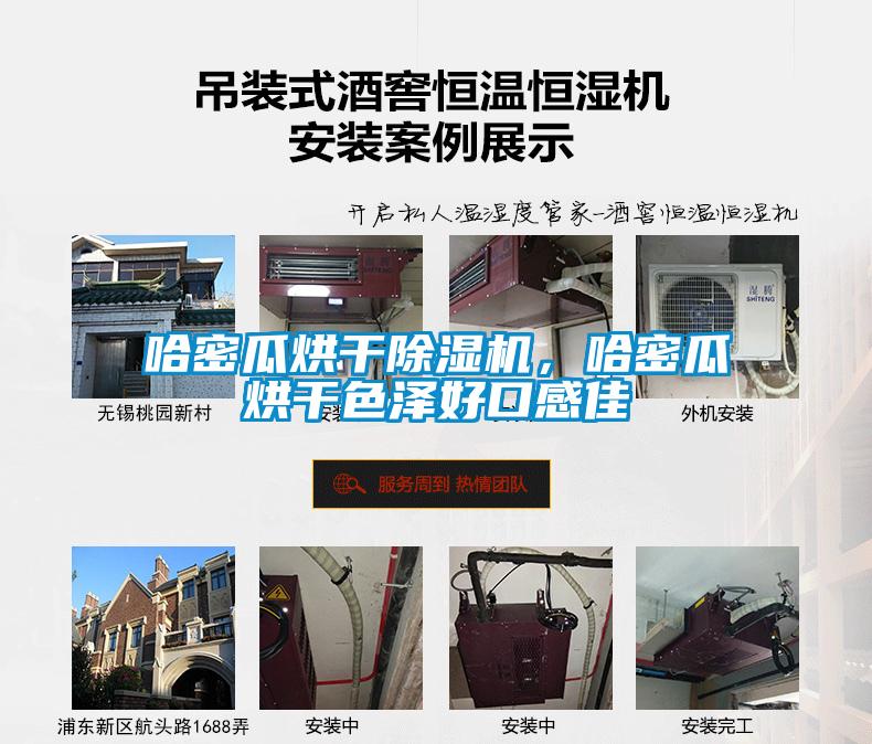 哈密瓜烘干除濕機，哈密瓜烘干色澤好口感佳